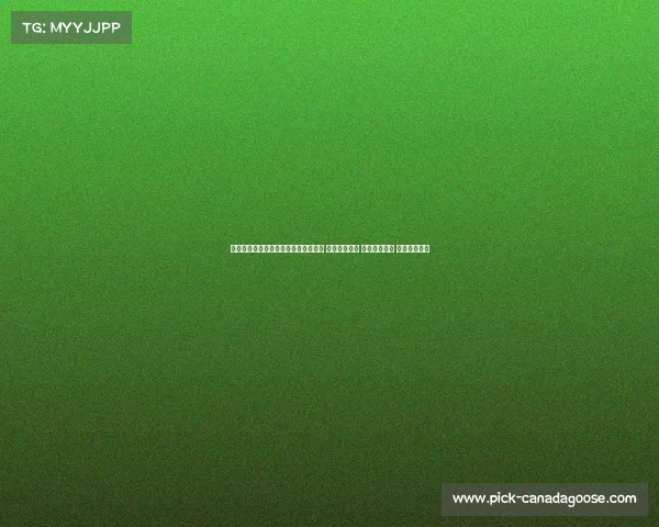 深度探讨曼联足球俱乐部历史赛事战绩 重温辉煌成就 总结挑战教训 展望复兴之路