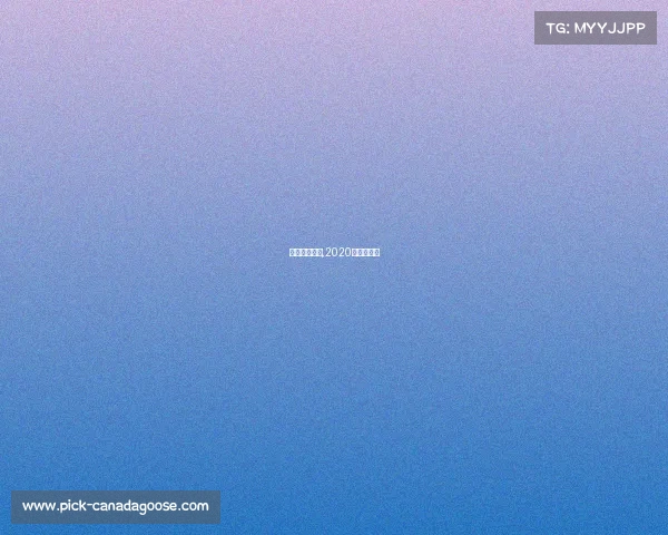 环保帆船赛事,2020环岛帆船赛