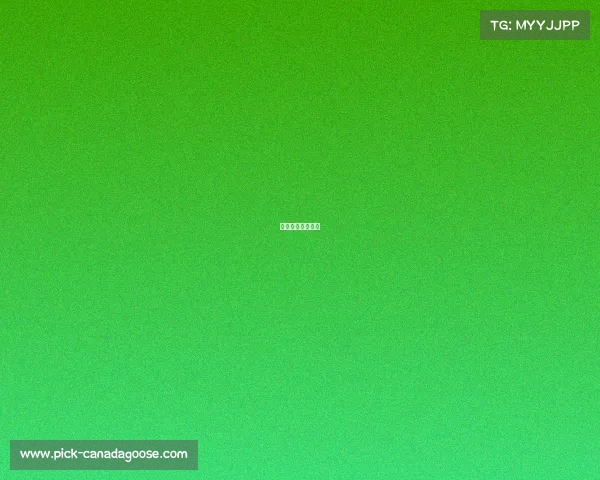 湛江哪里有溜冰场